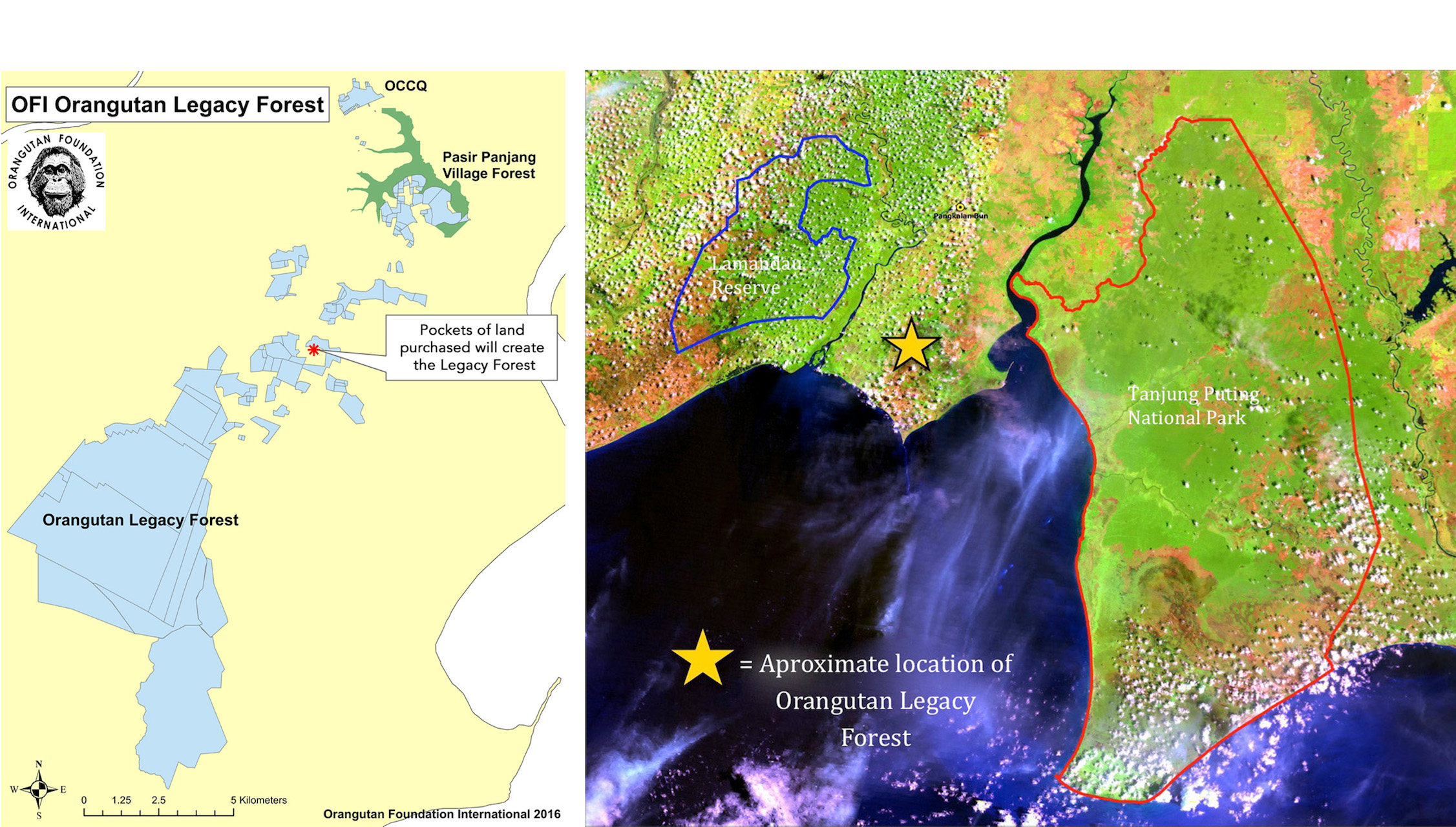 OFI Orangutan Legacy Forest Map Views 03
