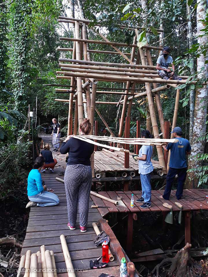 OFI Bamboo Tower Construction