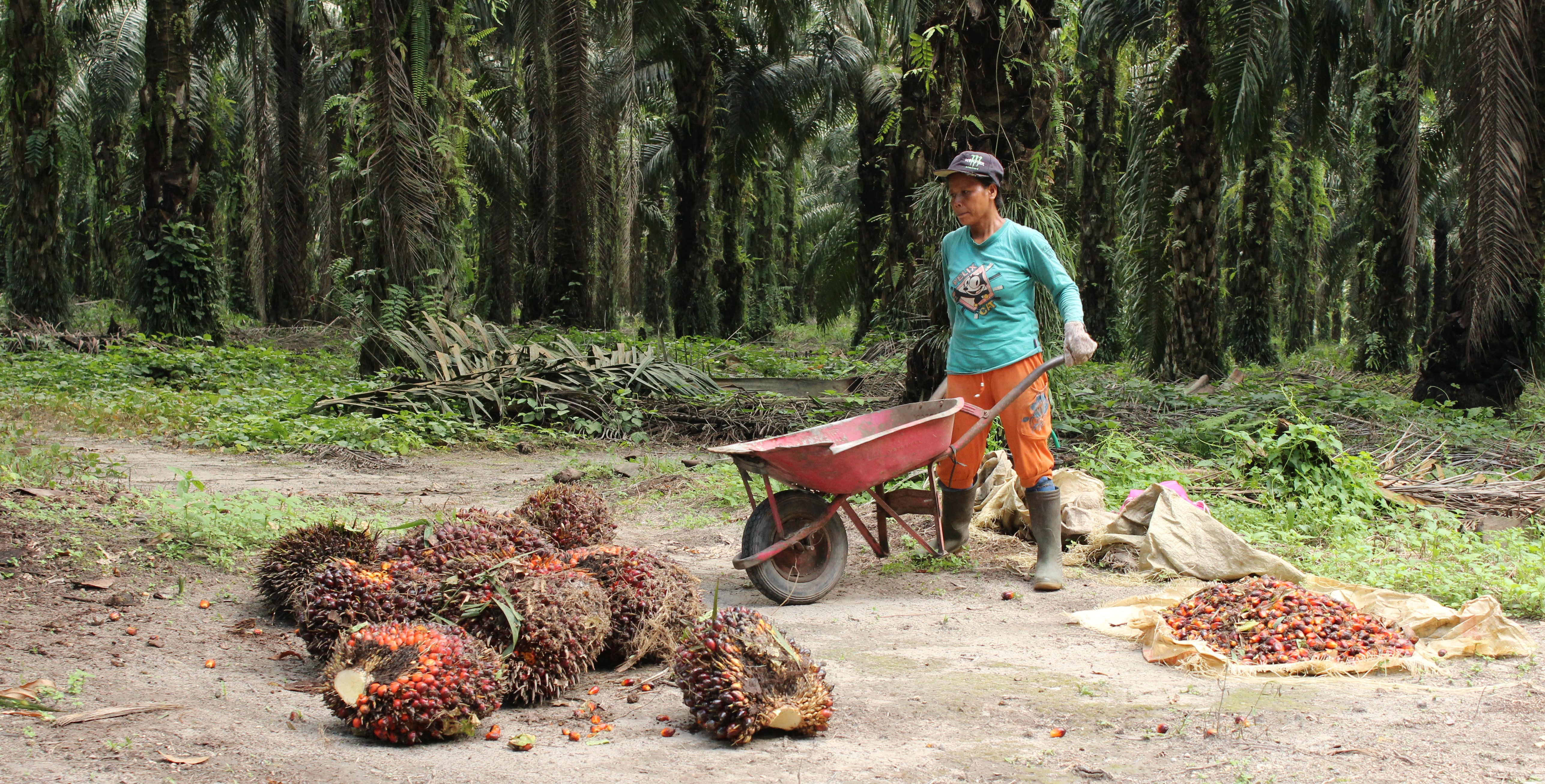 10 Worst Palm Oil Foods