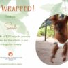 Virtual Gift - I'm Wrapped certificate