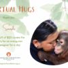 Virtual Gifts - Virtual Hugs certificate